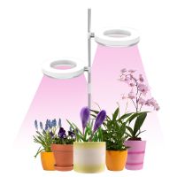 Home Office Desk Flower And Plant Growth Lamp