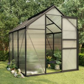 vidaXL Greenhouse Anthracite Aluminum 38.9 ftÂ¬â‰¤ - Anthracite