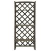 vidaXL Plant Stand with Trellis Gray 23.6"x11.8"x55.1" Solid Firwood - Grey