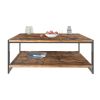 Coffee Table with Storage Shelf - bown+black