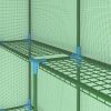 vidaXL Greenhouse with Shelves Steel 56.3"x56.3"x76.8" - Green